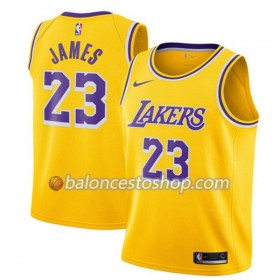 Camiseta Hombre NBA Los Angeles Lakers Lebron James 23 2018-19 Nike Gris Swingman